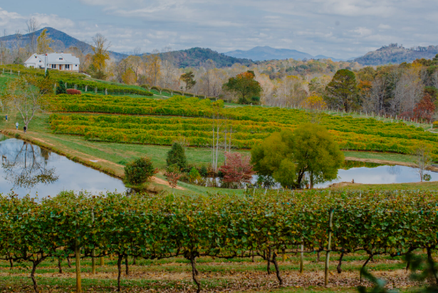 Private wine trip georgia blue ridge mountain route